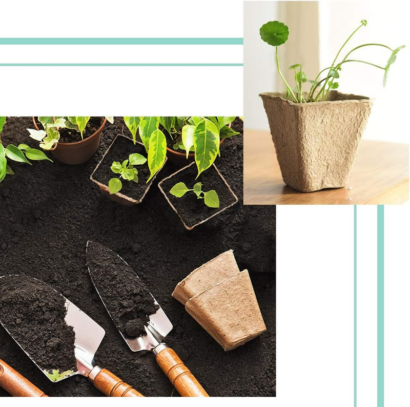 30 Pack Peat Pots 3.25" Biodegradable Seed Starter Garden Plant Pots gallery
