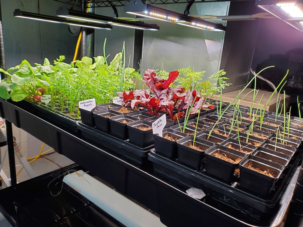 Migro Array 4 250W Grow Light - Lightly Used