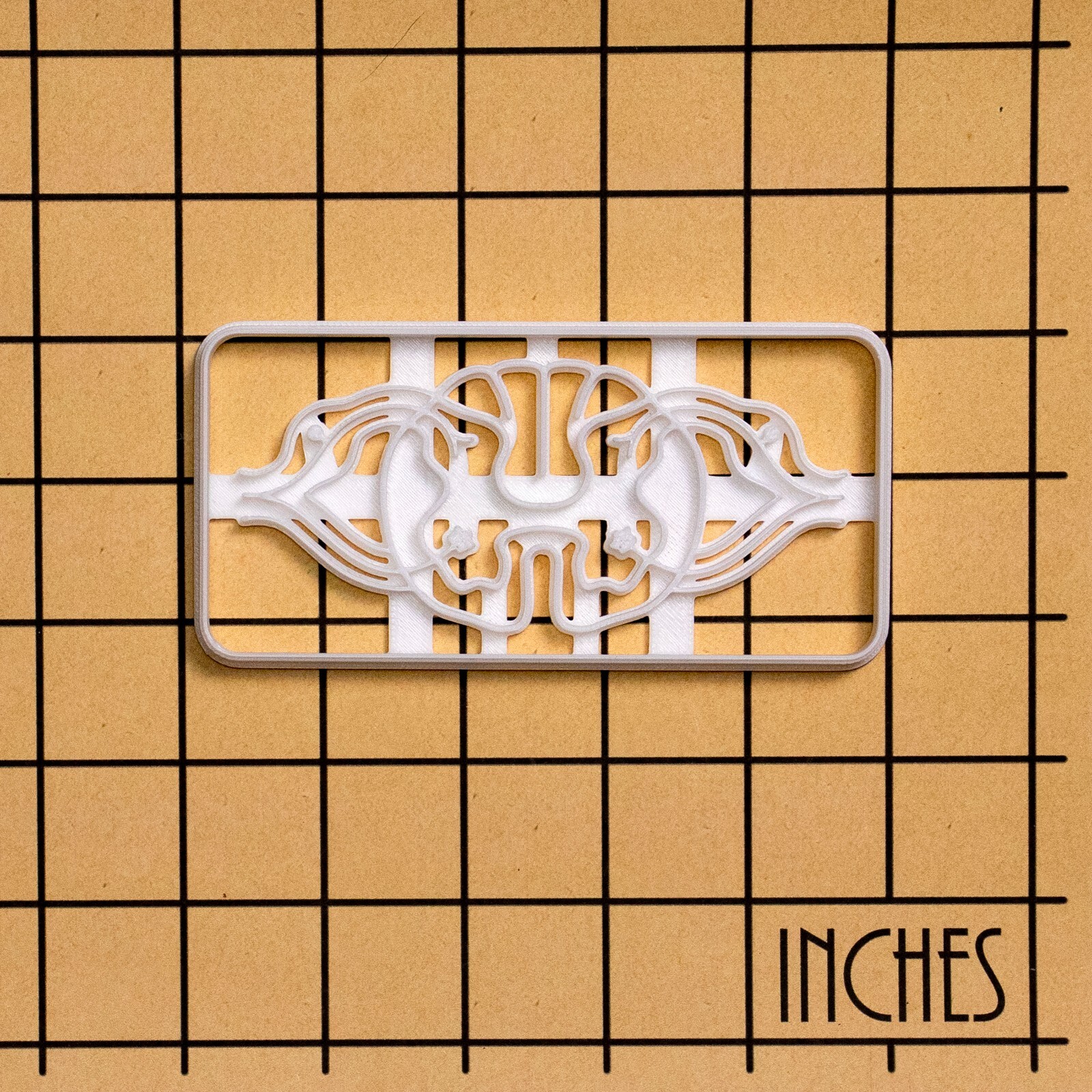 Spinal Neuro Path Cookie Cutter - biology science medicine neuroscience CNS phd gallery