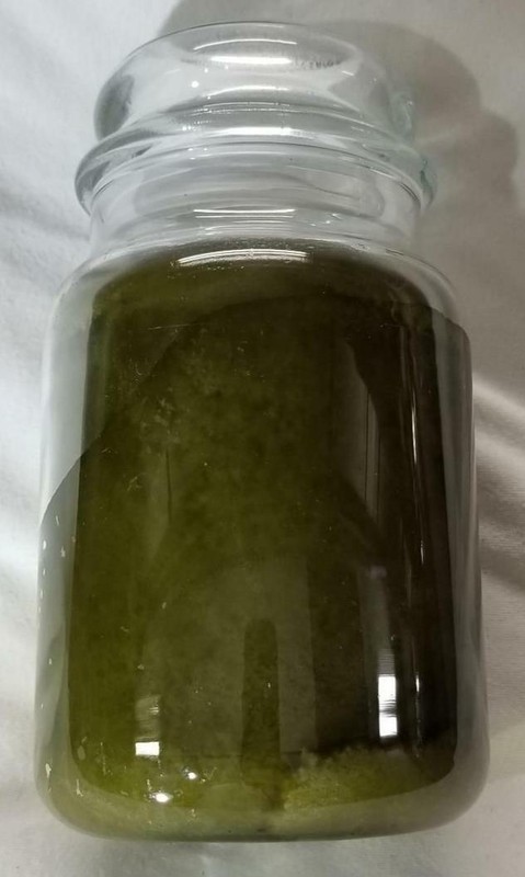 Yankee Candle AUTUMN LODGE Large Jar 22 Oz Green Housewarmer New Wax gallery