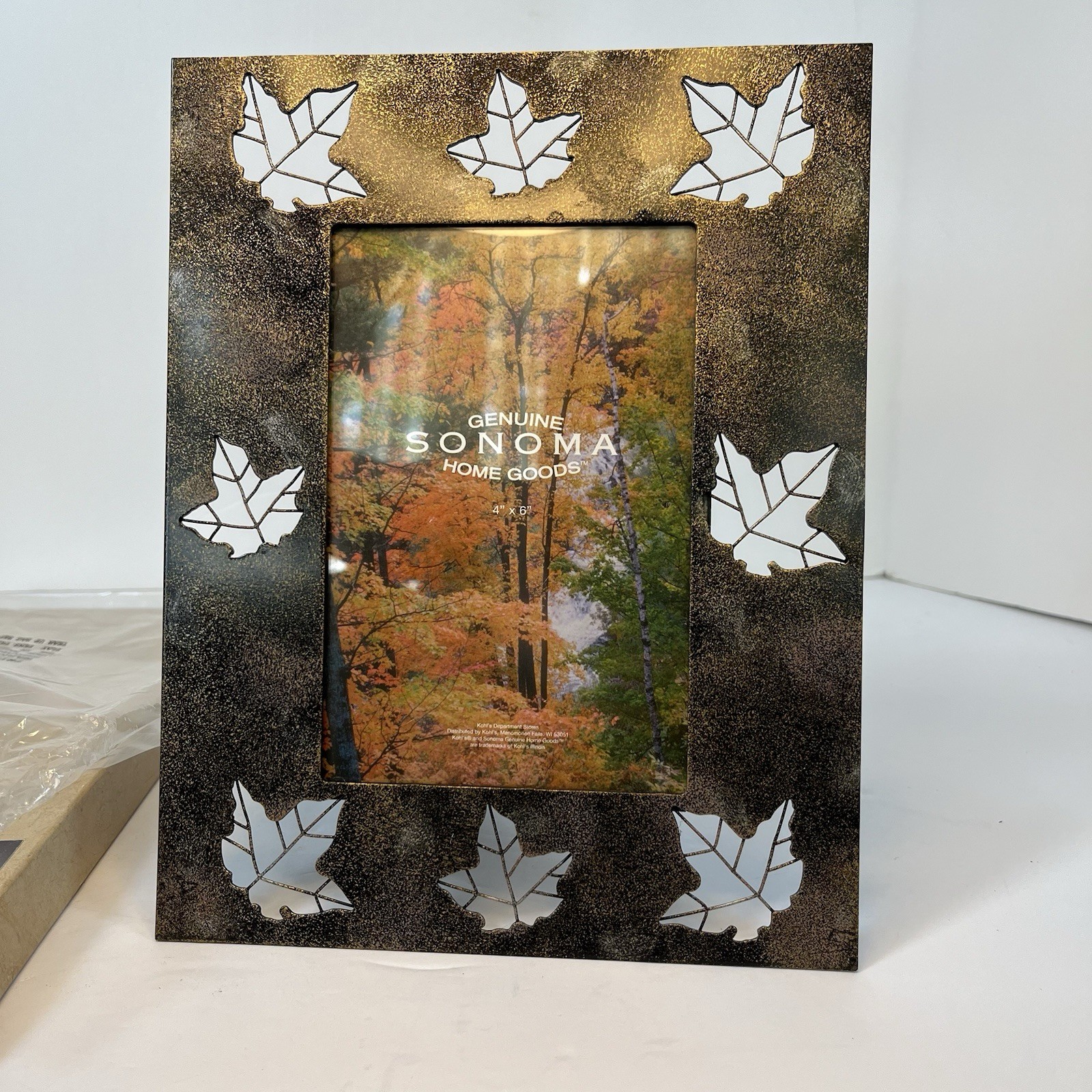Metal 4x6” Picture Frame With Fall Leaves Cutouts Sonoma Home Goods Decor gallery