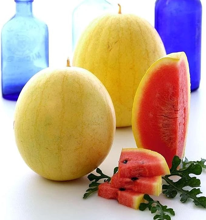 12 Golden Midget Watermelon Seeds - Mini ---- Heirloom -- Non GMO -- Organic gallery