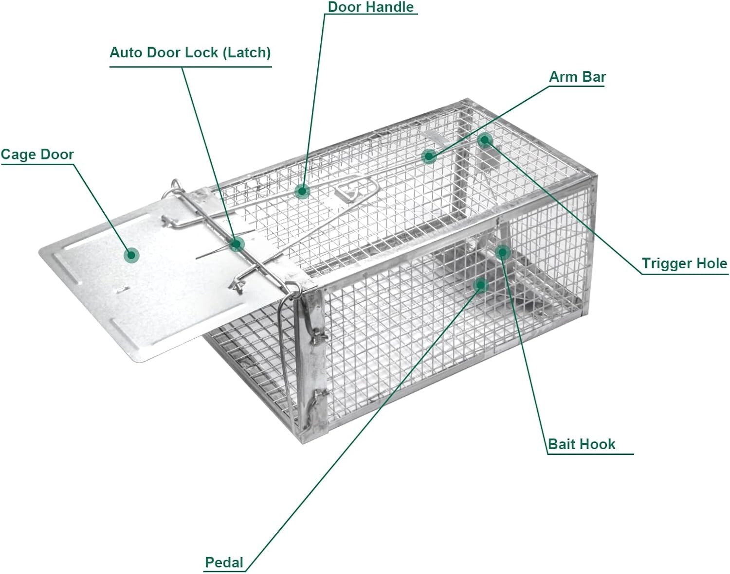 2 PACK Medium Humane Rat Cage Trap Easy Catch and Release Live Animal Trap Metal gallery