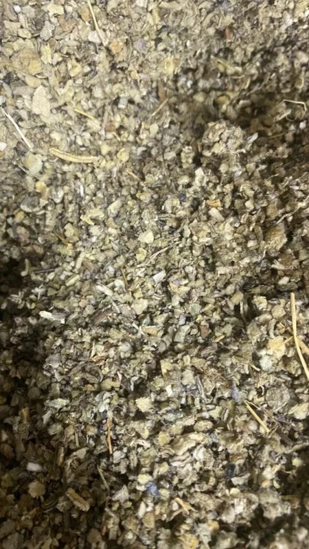 Mullein Leaf Bulk - Natural Heal Lung verbascum thapsus Herbals - 12 oz gallery