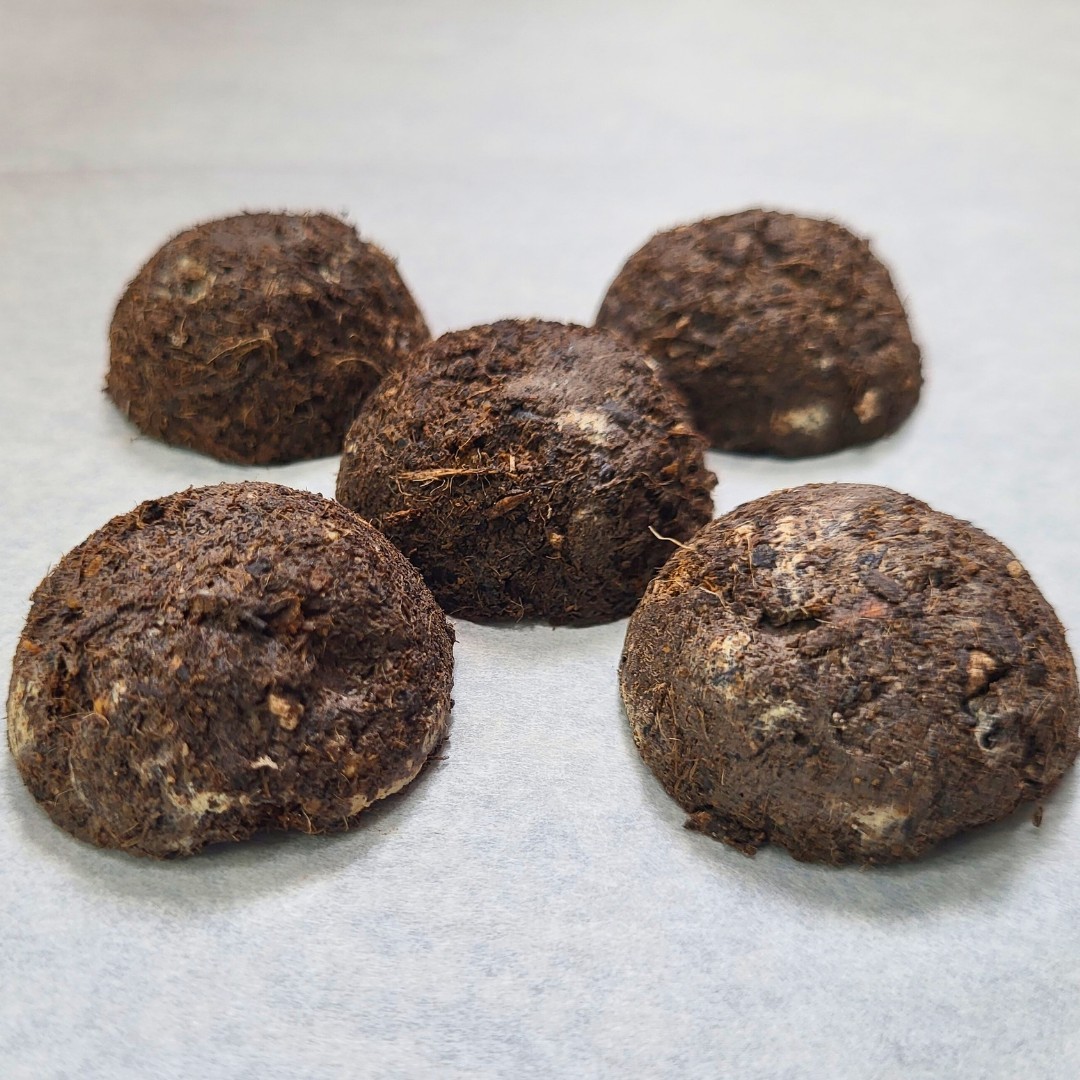 Bad Apples BITCORN™ Seed Bombs - Crypto Corn Scheme - Guerrila Garden - 1 Acre gallery