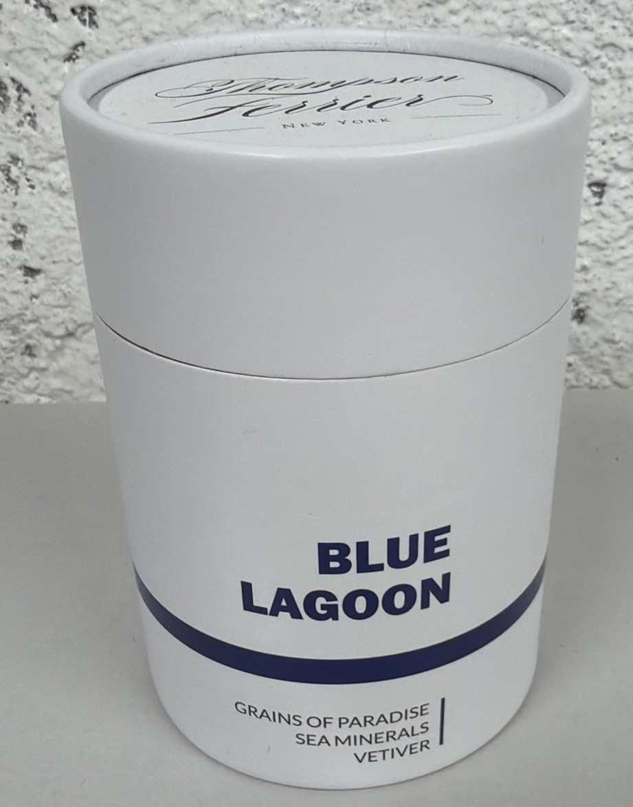 THOMPSON FERRIER BLUE LAGOON- GRAINS OF PARADISE SEA MINERALS VETIVER CANDLE gallery