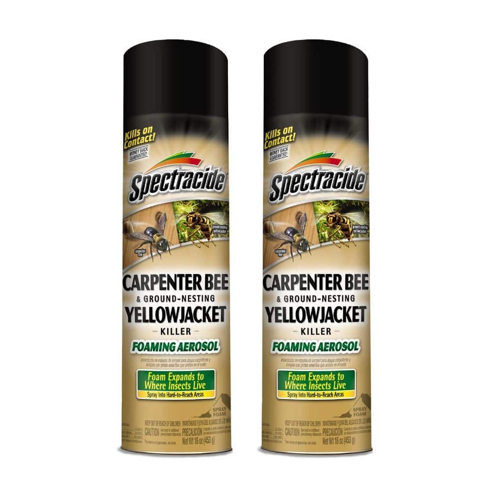 Carpenter Bee and Yellow Jacket Insect Killer 16oz Foaming Aerosol (2 Pack) gallery