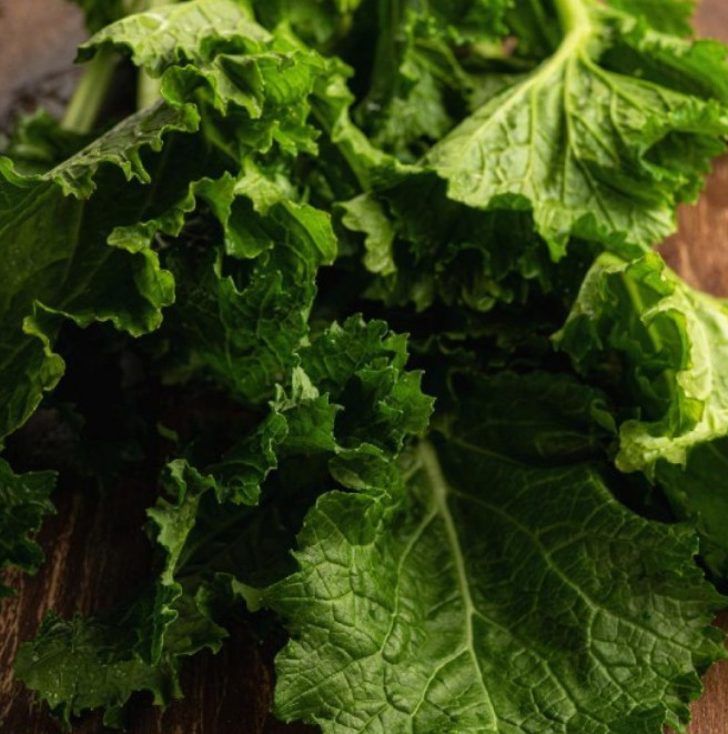SEVEN TOP TURNIP Best Tasting Greens, Sprouting Heirloom Cool Non-GMO 250 Seeds! gallery