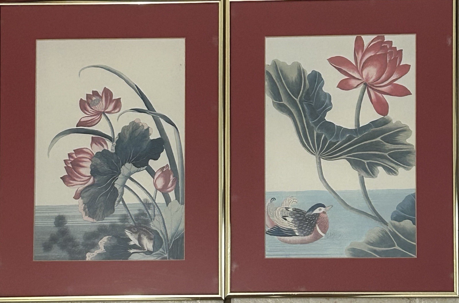 Vintage Museum Botanical Prints - Lotus w/ Frog & Lotus w/ Duck Nielsen Frames gallery