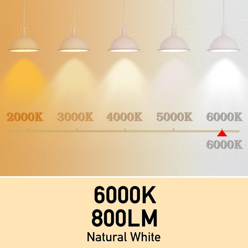 Full Spectrum Light Bulb, 6000K Natural Sunlight Bulbs, 9W 60W Equivalent LED Li gallery