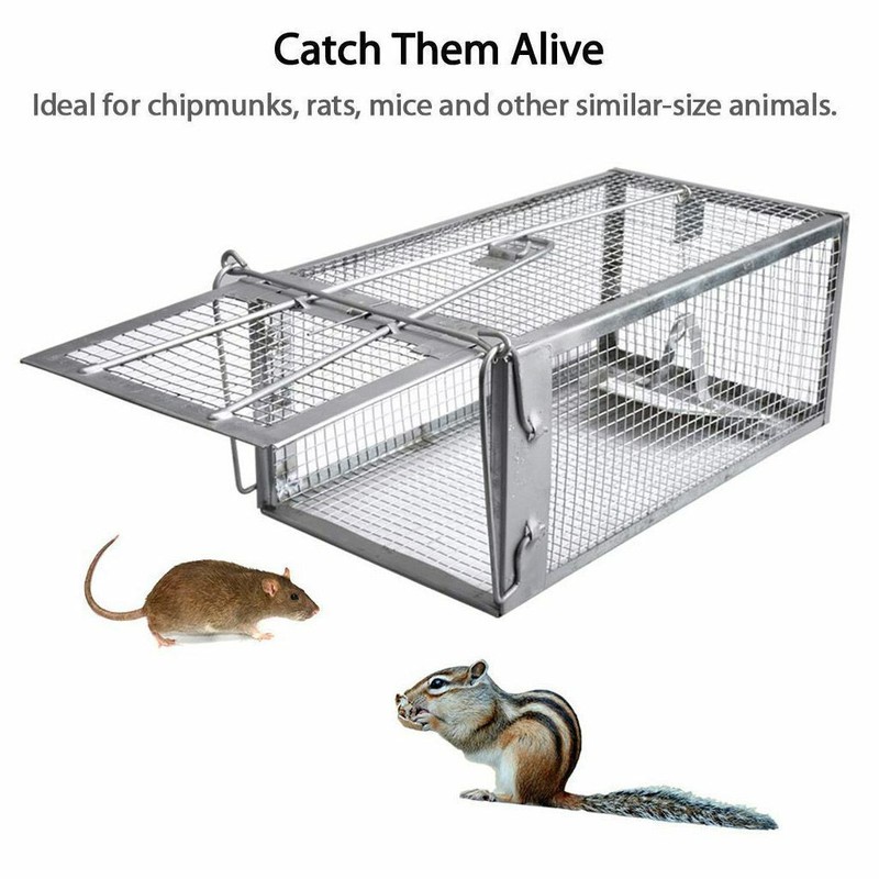 1-3x Live Humane Cage Trap For Squirrel Chipmunk Rat Mice Rodent Animal Catcher gallery