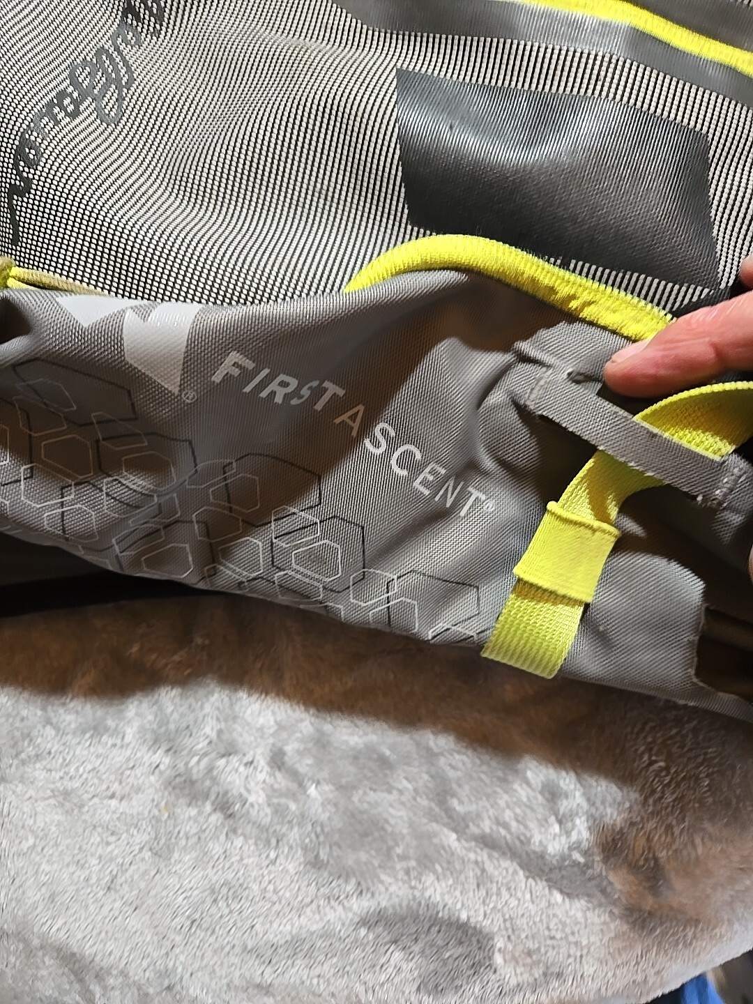 eddie bauer vert 18 5