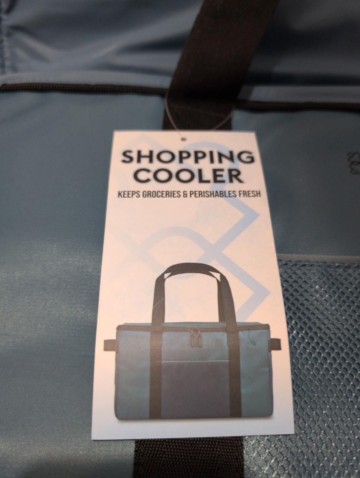 Keep Cool Insulated Reusable Shopping Bag Cooler BLUE Costco NEW Rare KEEPCOOL gallery