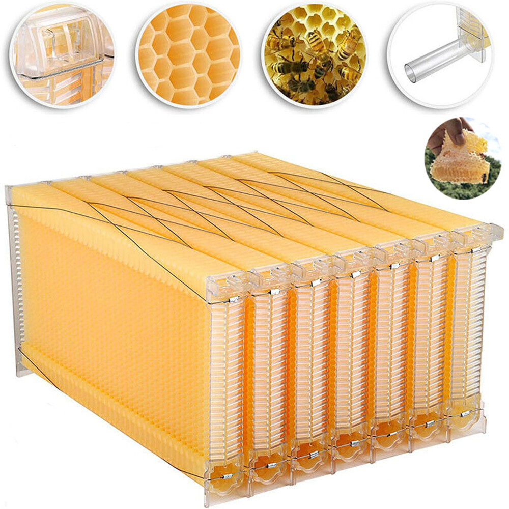 Wooden Beekeeping Beehive House Box + 7PCS Automatic Honey Bee Comb Hive Frame gallery
