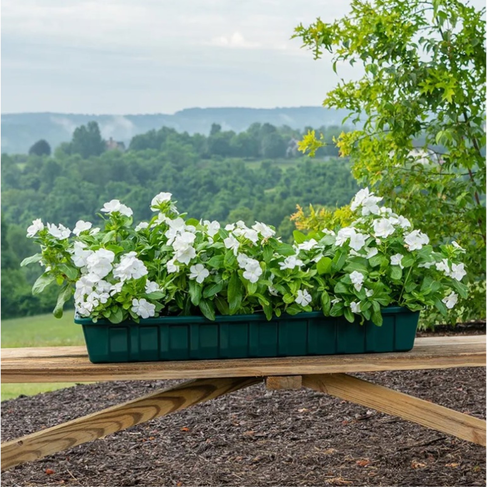 Polypro Plastic Flower Box Liner, 18" Green gallery