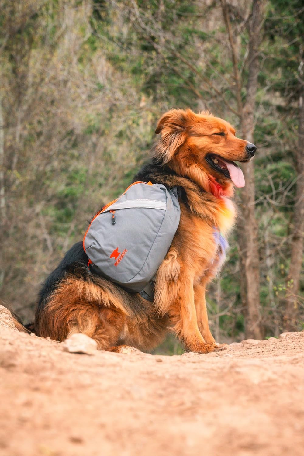 K-9 Pack 5
