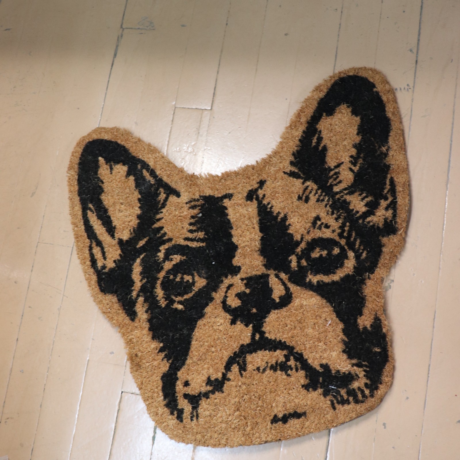 RugSmith Natural Machine Tufted Terrier Head Coir Doormat 20" W x 20" L gallery