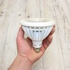 Sengled 250W LED HO PAR38 Light Bulb -2 PK- Dimmable 2400 lumen 5000K E26 Base gallery