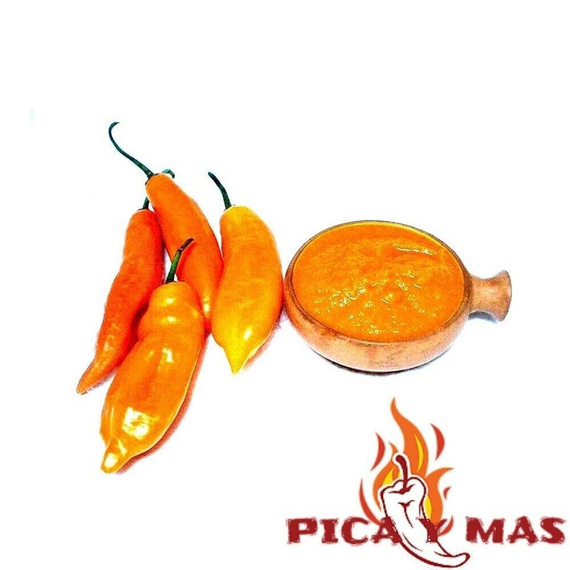 30 AJI LEMON CHILLI PERU CEVICHE CHILLI SEEDS SEEDS 100% GUARANTEED gallery