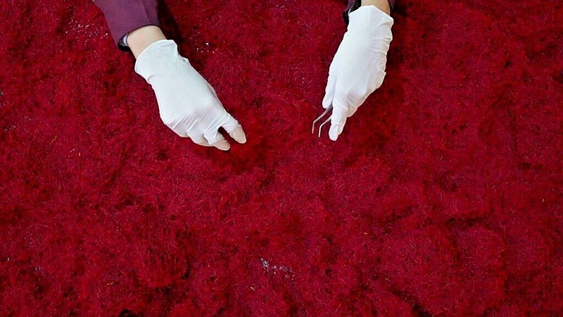 Bulk Genuine Premium Grade A+, All Red, Organically Grown Super Negin Saffron gallery
