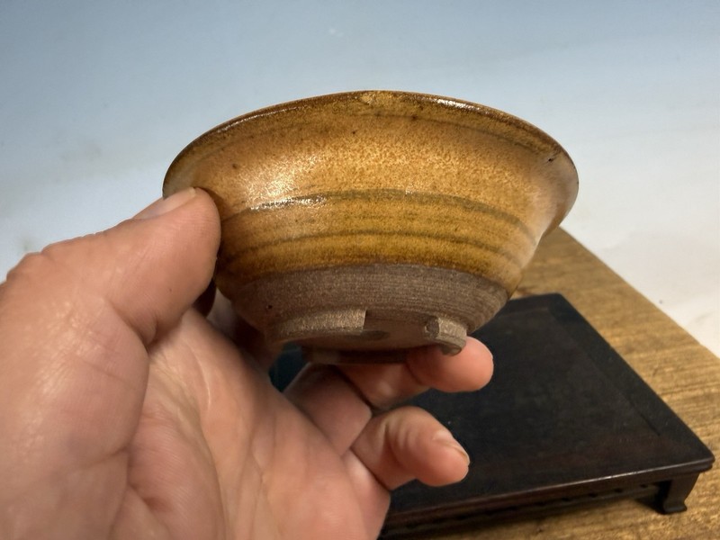 Japanese Unknown Maker Shohin Bonsai Tree Pot 3 1/2 By 1 1/4” Mustard Glaze gallery