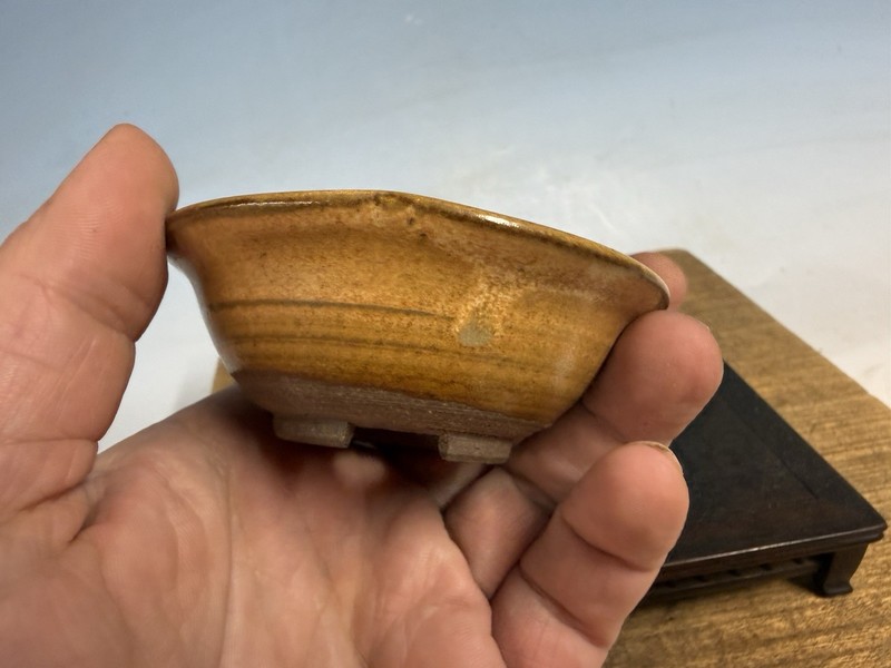 Japanese Unknown Maker Shohin Bonsai Tree Pot 3 1/2 By 1 1/4” Mustard Glaze gallery
