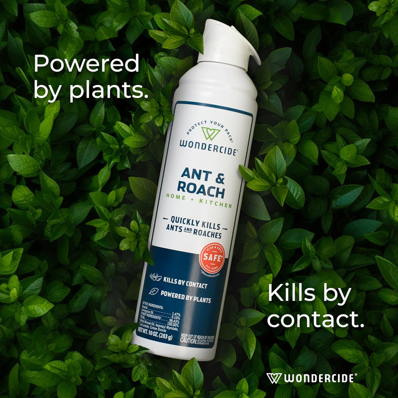 - Ant & Roach Aerosol Spray for Kitchen, Home, and Indoor Areas - Ant, Roach, Sp gallery