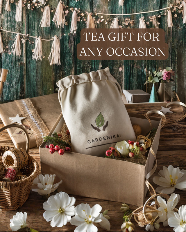 Stash Tea Bags Sampler - Caffeinated, Herbal and Decaf - 50 Ct, 50 Flavors gallery