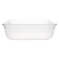 Snapware 7211R 8.5-Cup Total Solutions Plastic Food Storage