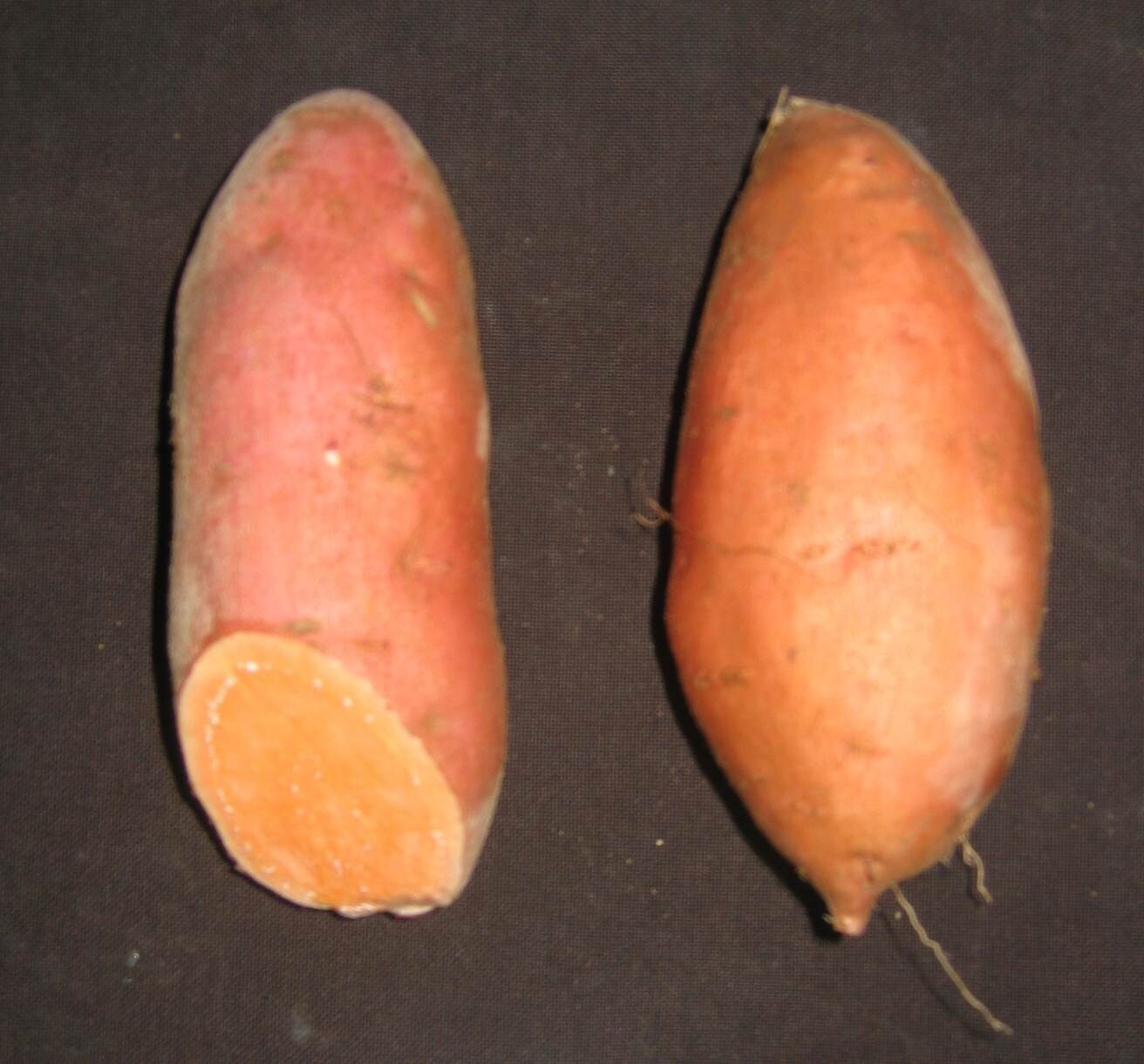 10 Sweet Potato Slips Plants - Beauregard - Non GMO & Chemical Free gallery