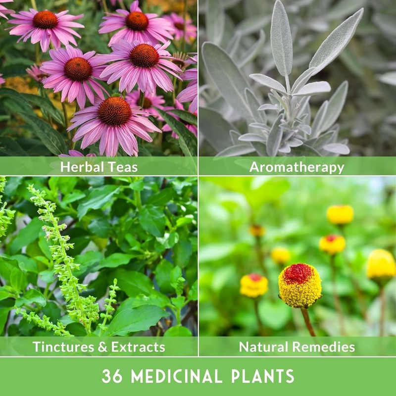 All-in-One Medicinal Herb Seed Kit – 36 Non-GMO Varieties for Natural Remedies gallery