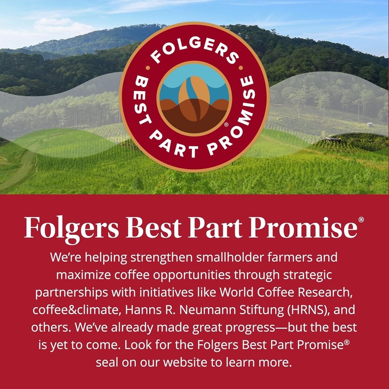 Folgers Classic Medium Roast Ground Coffee 10.3 oz 175th Anniversary Metal Can gallery