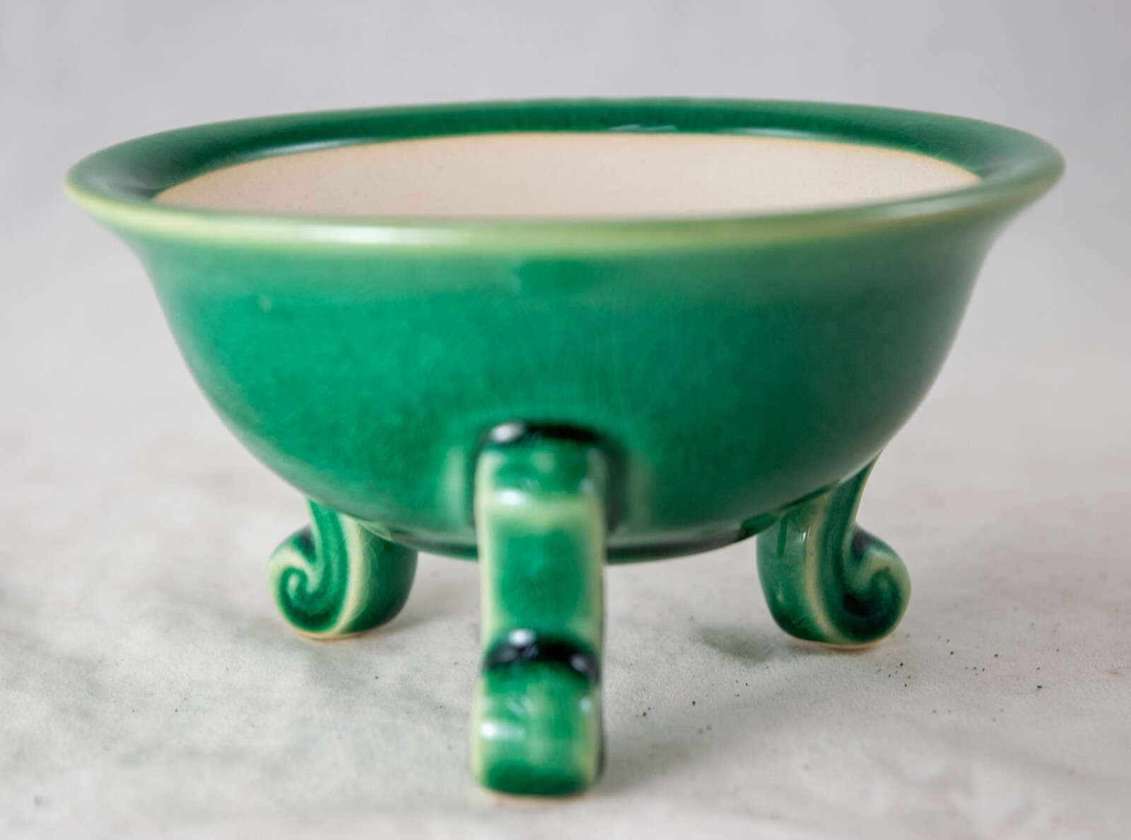 Fine Round Green Cactus & Succulent, Mame Bonsai Pot + Mesh 4.25"x 4.25"x 2.25" gallery