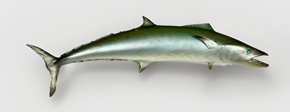 Kingfish - Half Mount Fish Replica - 32 Inches Long