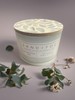 New Sand & Paws 2 Wick Eucalyptus Spa 12 oz Candle Paraben Free Cruelty Free gallery