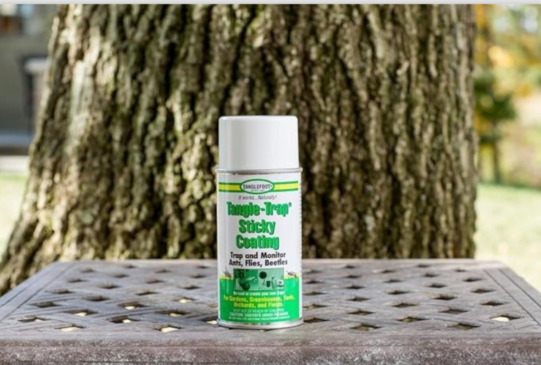 Fly Tangle-Trap Sticky Coating (Aerosol), 10 Oz. gallery