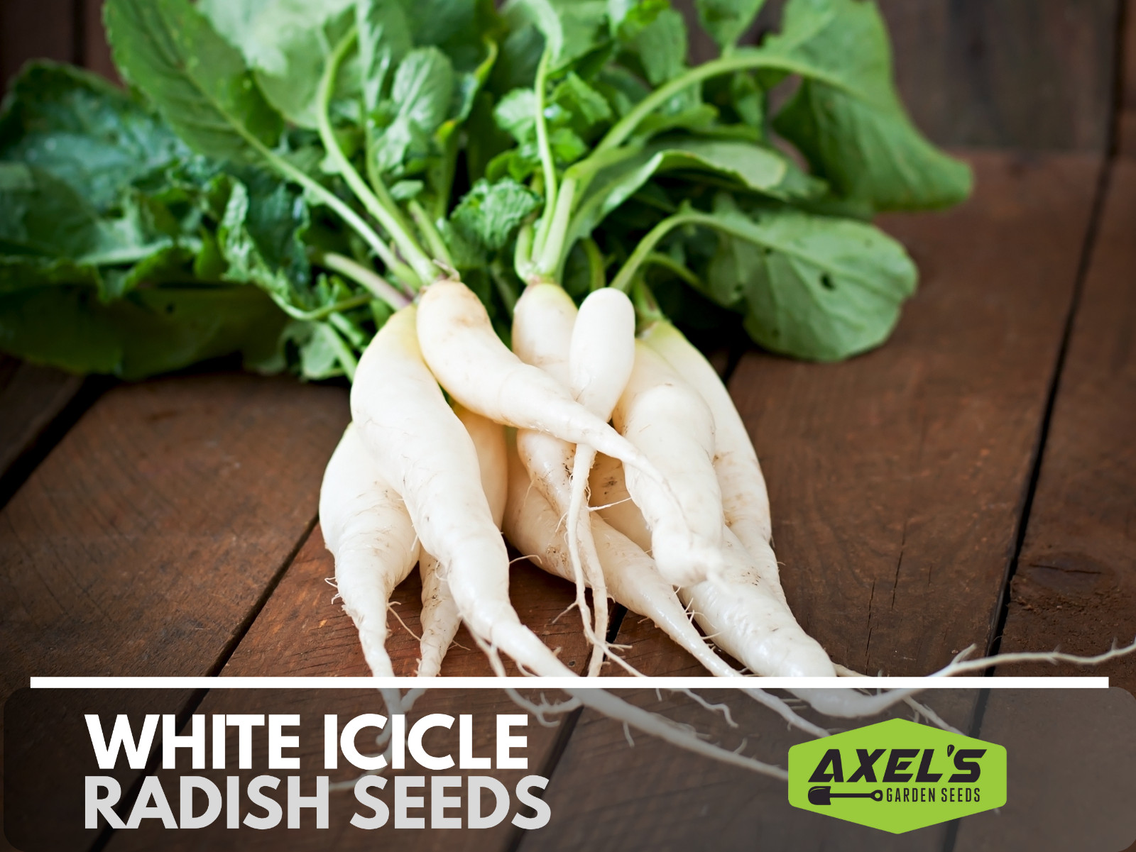Radish Seeds - Fast Growing Heirloom Non GMO, Free Shipping, White Icicle gallery