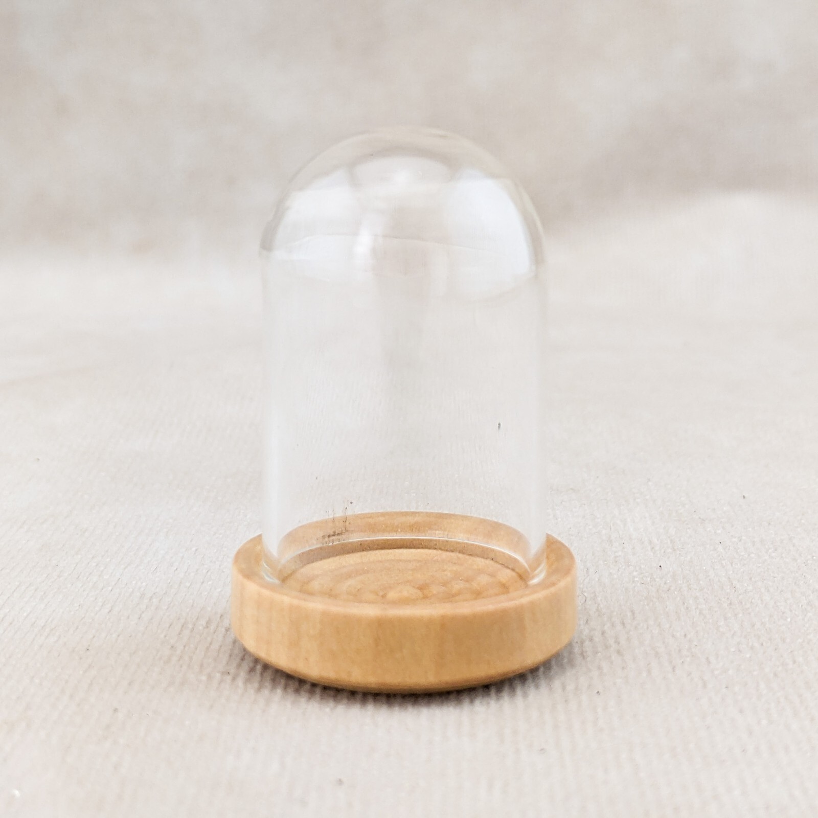Glass Dome w/ clear Varnished base Miniature Garden Cloche display dome case gallery