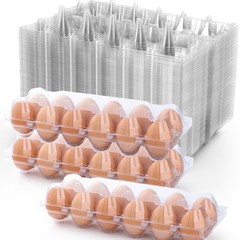 48 Pack Clear Empty Egg Cartons 12 Count 1 Dozen Plastic Holder Reusable
