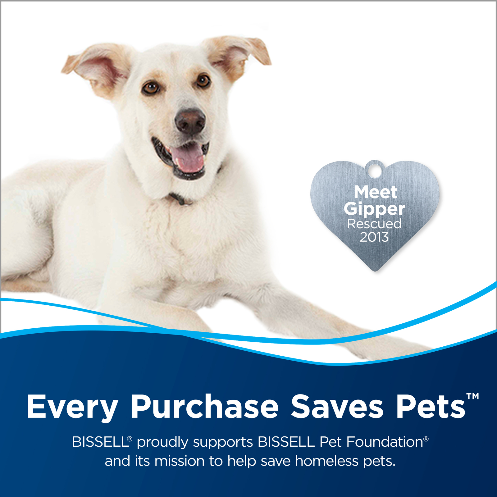 Bissell Gentle Clean Brush Roll - Area Rugs for CrossWave 1608017 gallery