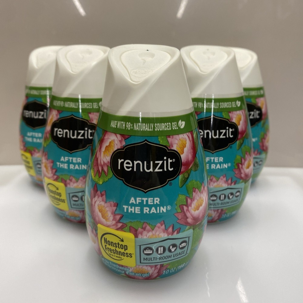 6 Pack Renuzit Solid Gel Cone Adjustable Air Freshener After the Rain 7oz each