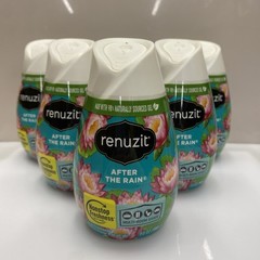 6 Pack Renuzit Solid Gel Cone Adjustable Air Freshener After the Rain 7oz each