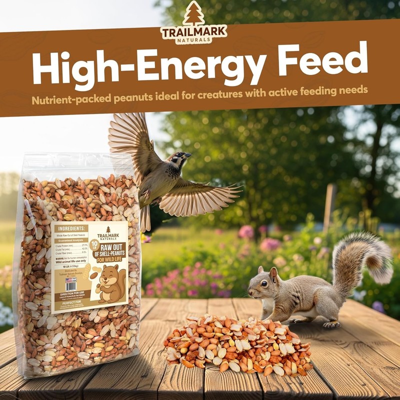 11 Pounds - Shelled Peanuts For Birds, Raw Shelled Peanuts For Squirrels and ... gallery