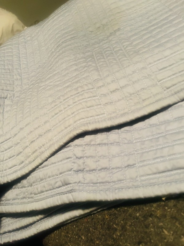 XL TWIN SPREAD FOR BED. ( LIGHT BLUE. )….. gallery