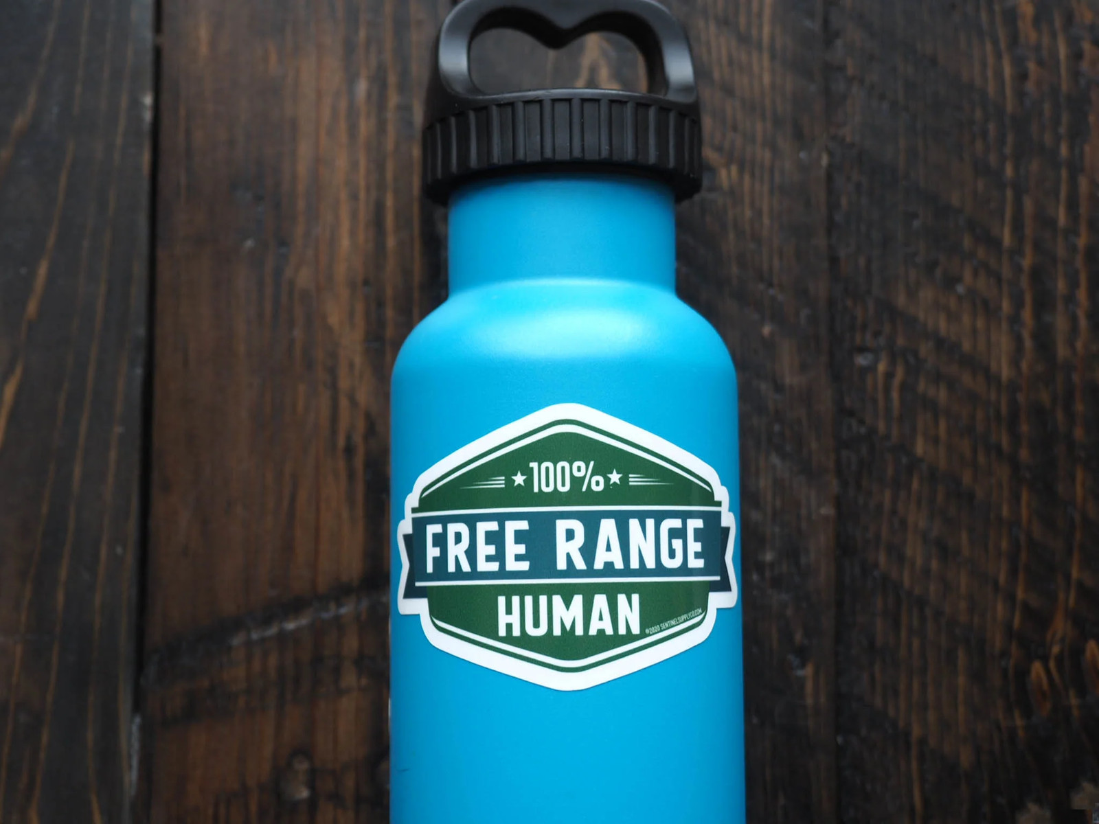 Free Range Human Sticker gallery