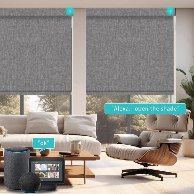 Changshade CUSTOM Smart Motorized Window Shades Remote Control Roller Blinds gallery