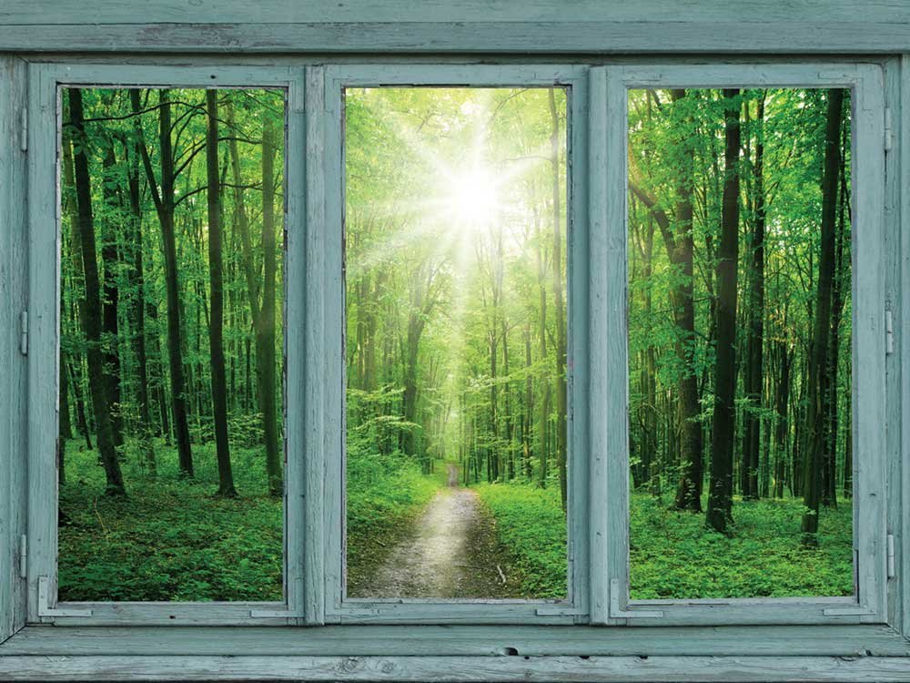 Window Looking Out Into a Green Forest and the Sun - Wall Mural - 36x48 inches gallery