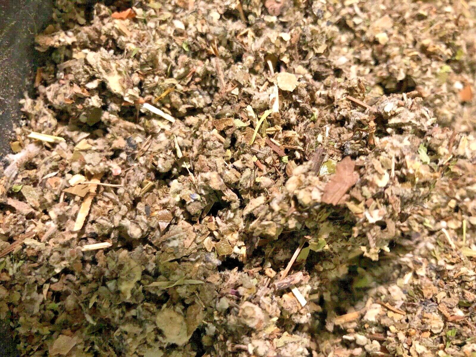 Uva Ursi Coltsfoot Skullcap Sage Mullein Spearmint Herb - No.35 Herbal Blend Mix gallery