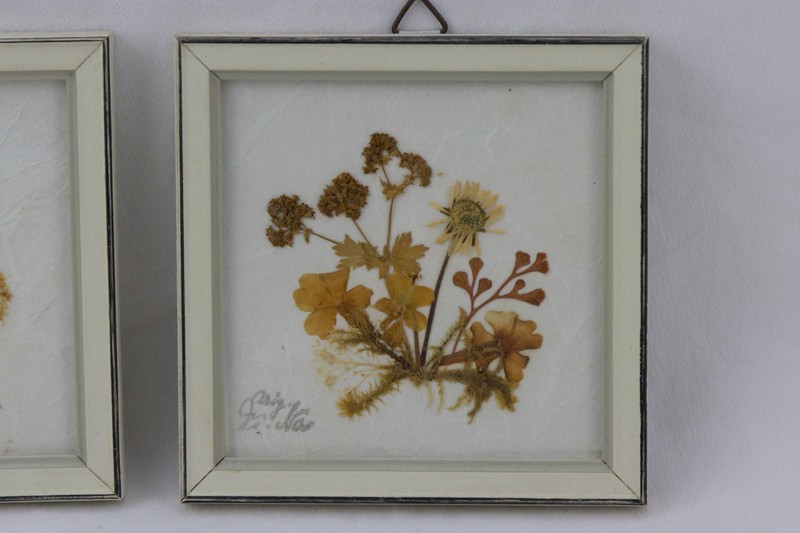 German Mini Framed Dried Flower Arrangements, Tagged, LOT OF 2 gallery
