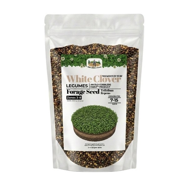 Old Cobblers Farm™ Wicked Tuff Turf White Clover (Legumes) – Green Lawn Cover gallery